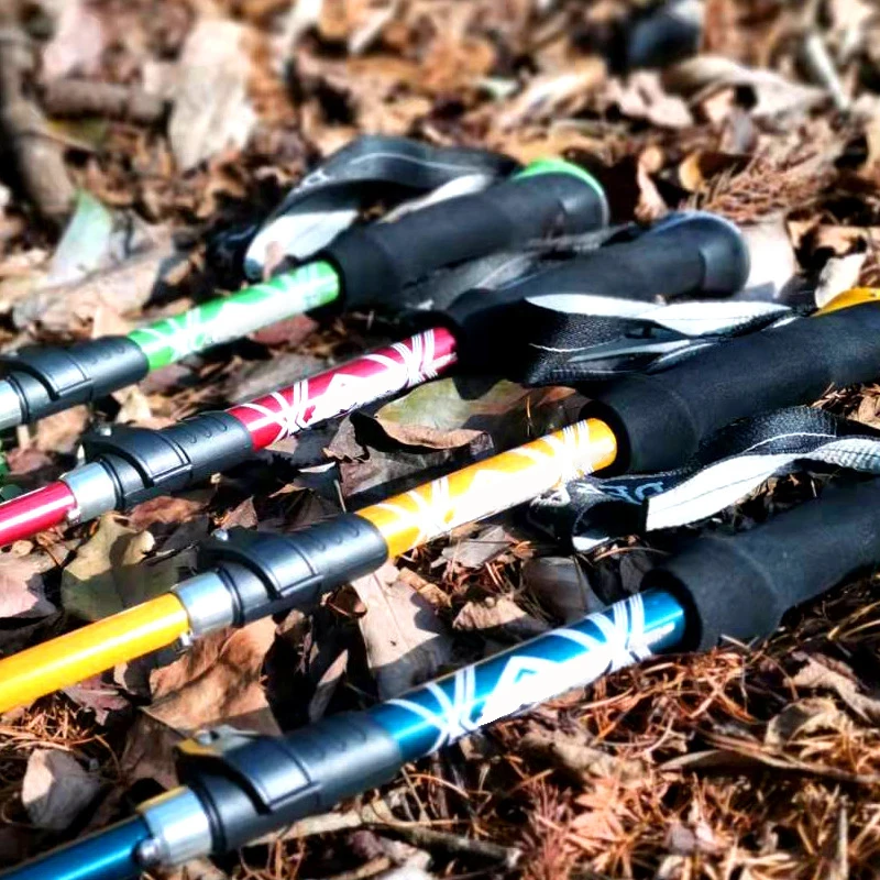 5 Bagian Tongkat Trekking Lipa - Trekking Pole Carbon ulasan dan harga